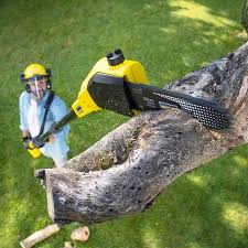 Best Seasonal Cleanup (Spring/Fall)  in Garfield, TX